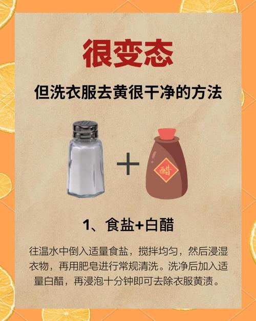 衣服发霉用什么方法可以去除，衣服发霉怎么快速去除？-第7张图片-屿企百科网