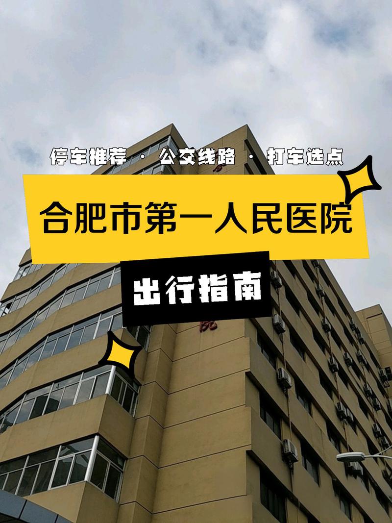 合肥交通限号吗？合肥交通限号吗现在？-第3张图片-屿企百科网