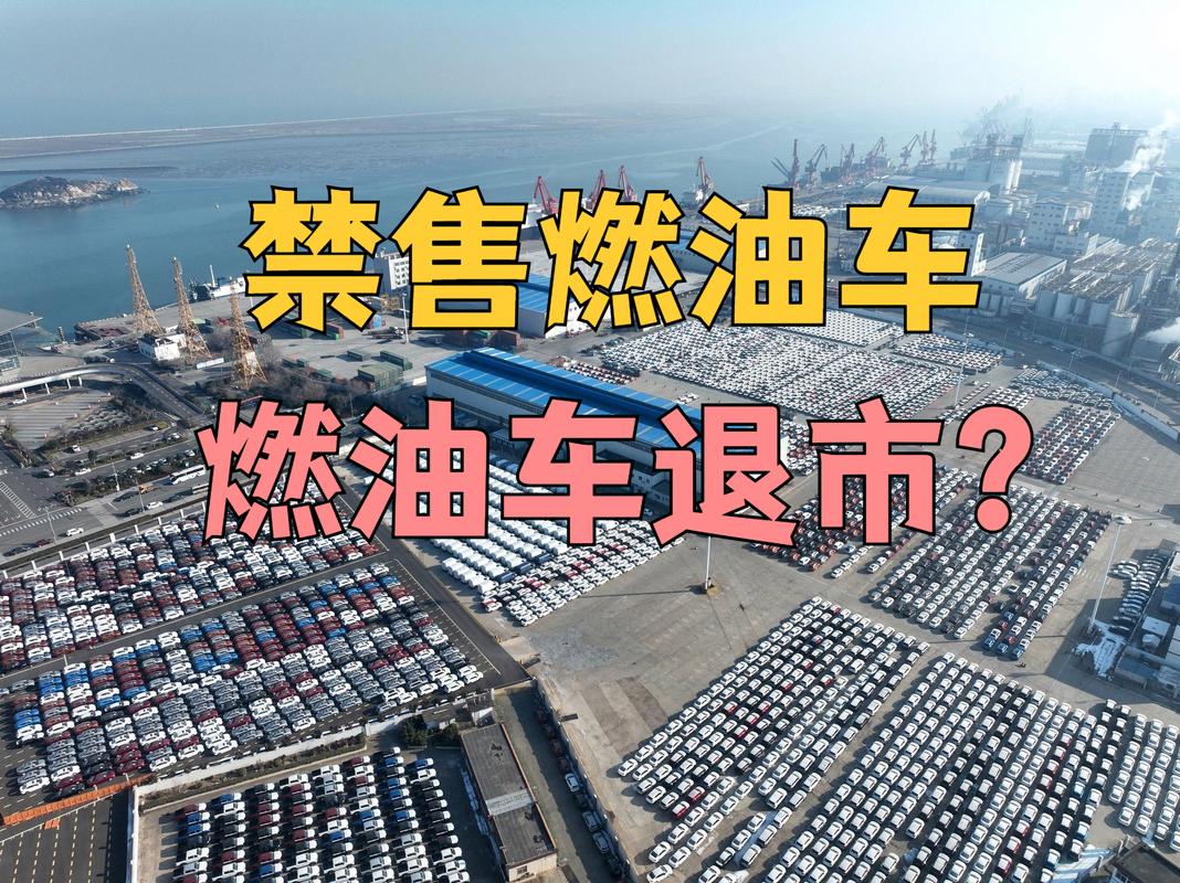 想买燃油车又天天限号了？油车限号有什么办法可以开？-第4张图片-屿企百科网