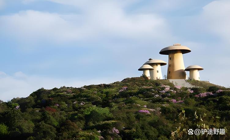 师宗县气温如何？师宗县平均气温？-第5张图片-屿企百科网