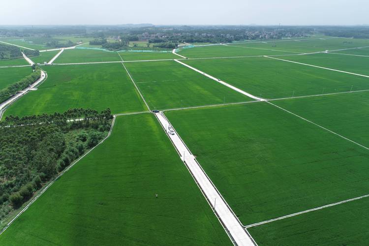 遂溪气候怎么样，广东省湛江市遂溪县天气g-第1张图片-屿企百科网