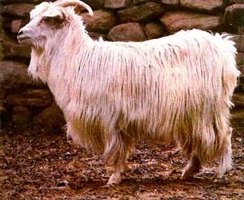 甘肃景泰最低气温，景泰县最低气温-第4张图片-屿企百科网