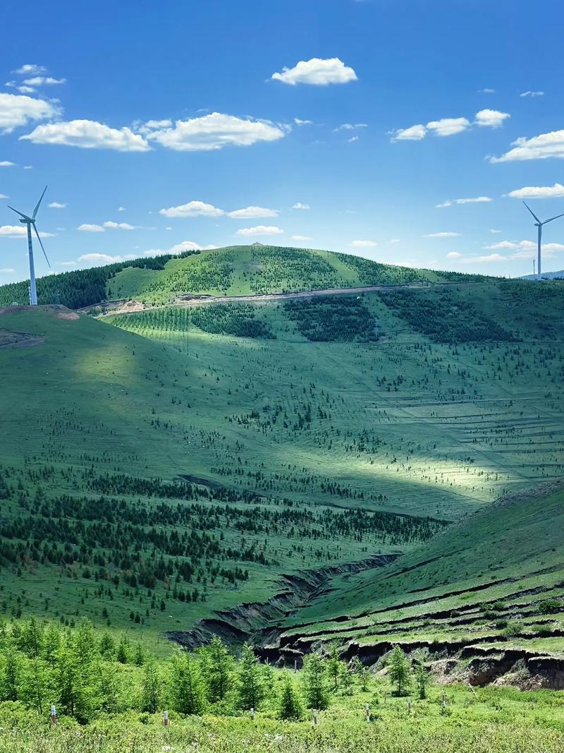 前两天的气温是多少度？前几天的气温？