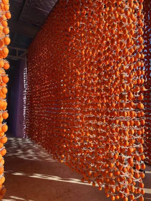 华阴市最冷气温？华阴冬天温度？-第1张图片-屿企百科网