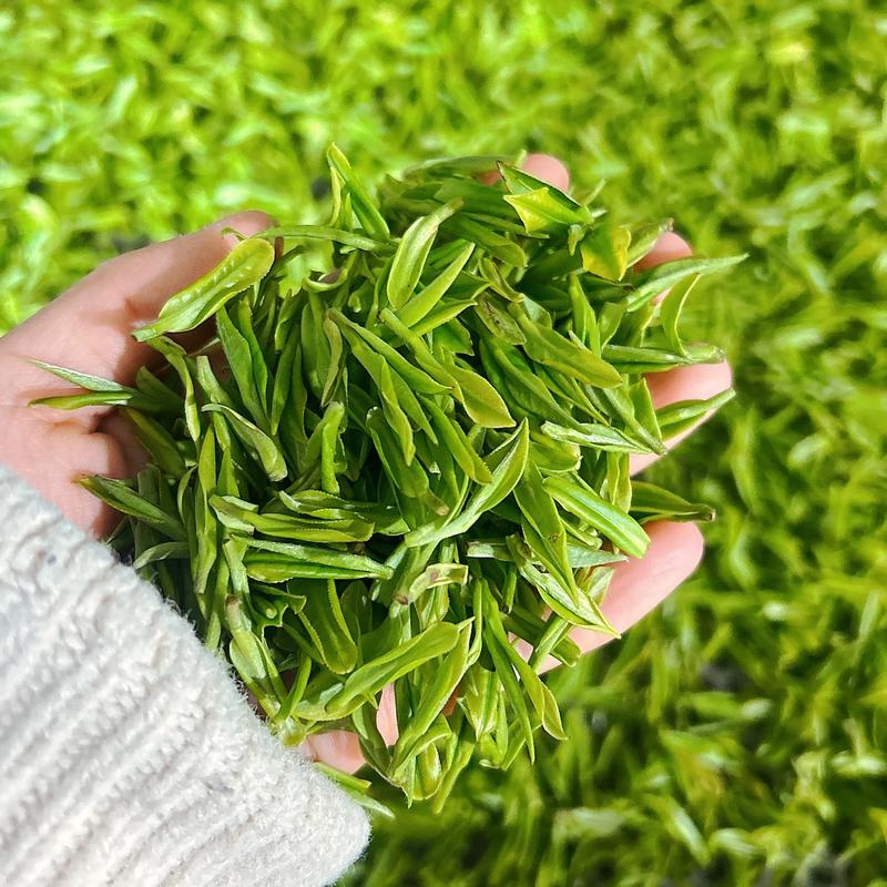 安吉县气象破历史最低气温，安吉历年最冷天？-第2张图片-屿企百科网