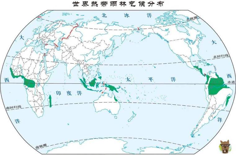 热带雨林气候哪个大洲最广，热带雨林气候在什么洲分布最广？-第5张图片-屿企百科网