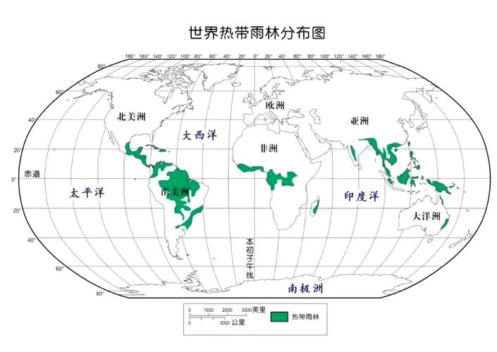 热带雨林气候哪个大洲最广，热带雨林气候在什么洲分布最广？-第8张图片-屿企百科网