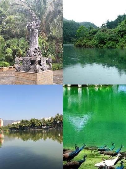 云南勐海全年每月气温是多少？云南勐海全年的气候？-第3张图片-屿企百科网