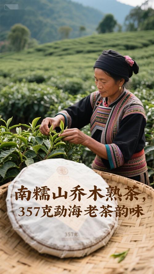 云南勐海全年每月气温是多少？云南勐海全年的气候？-第5张图片-屿企百科网