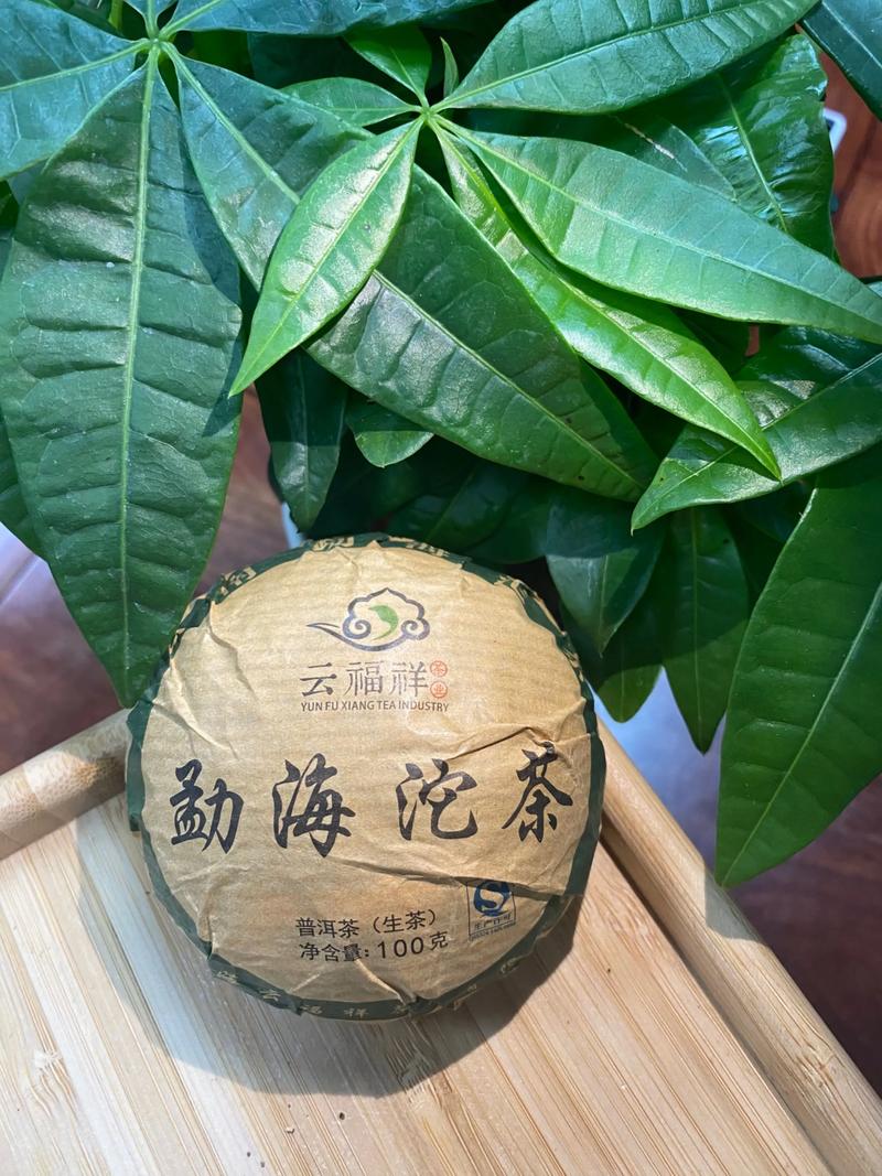 云南勐海全年每月气温是多少？云南勐海全年的气候？-第7张图片-屿企百科网