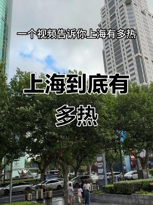 上海11月气温为什么高，上海11月上旬的温度大概是多少？-第4张图片-屿企百科网