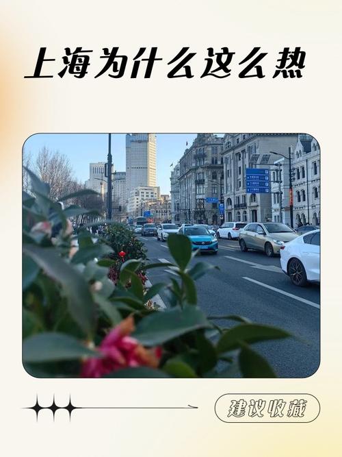 上海11月气温为什么高，上海11月上旬的温度大概是多少？-第6张图片-屿企百科网