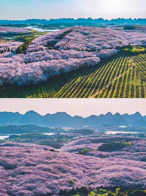 黔江区金溪镇气候条件，重庆市黔江区金溪镇清水村？-第6张图片-屿企百科网