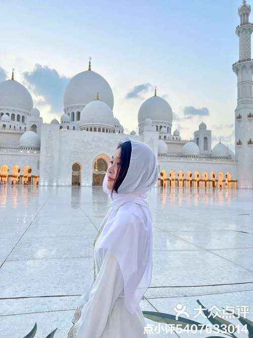 1月份迪拜气温多少度？迪拜各月份的平均气温？-第5张图片-屿企百科网