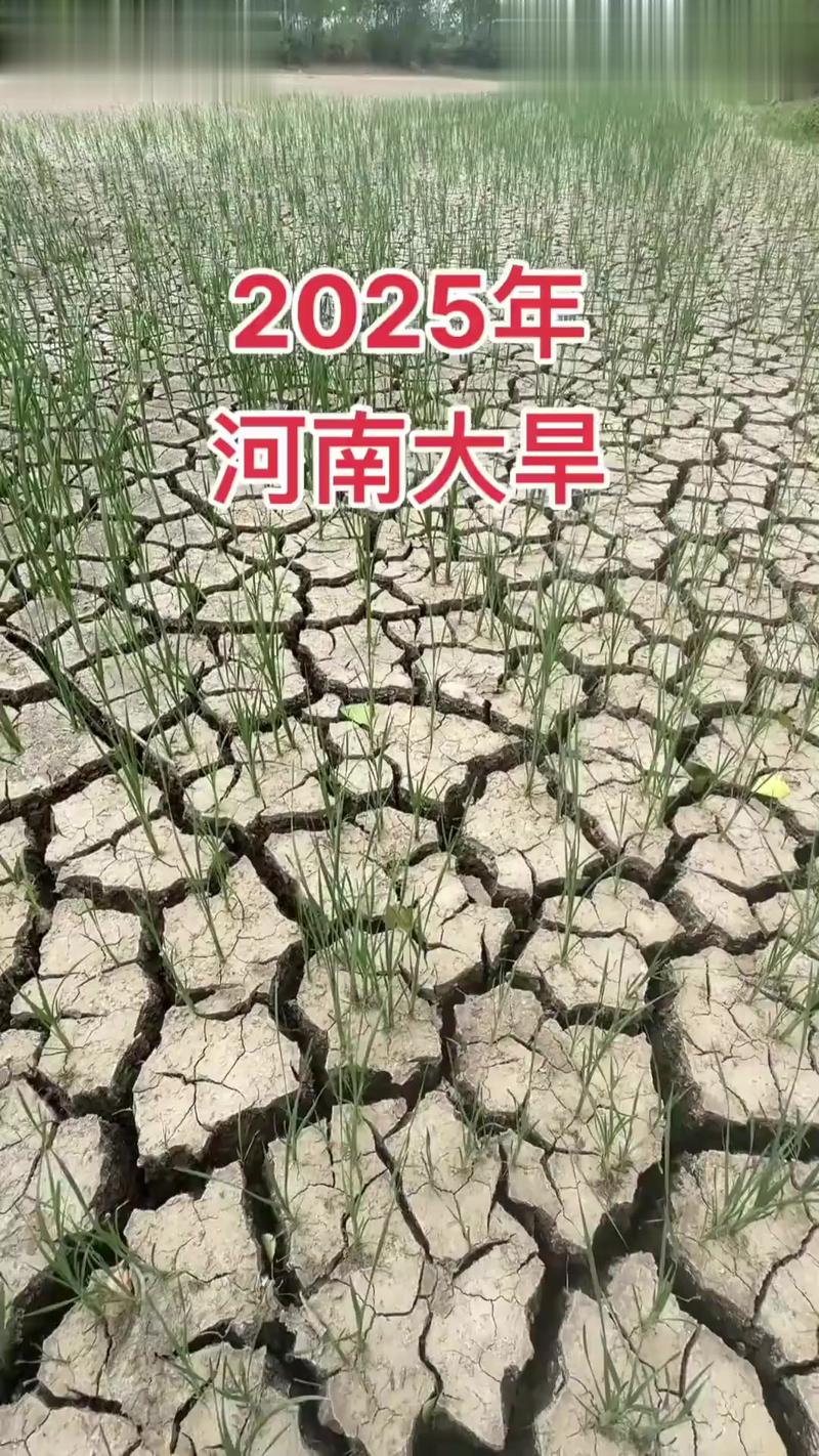 河南气候干旱吗？河南省干旱的是什么原因？-第4张图片-屿企百科网