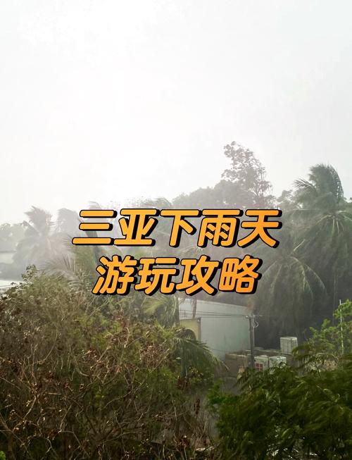 现在三亚气候怎么样，现在三亚的气候-第5张图片-屿企百科网