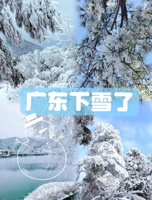 广东江门市最冷气温多少度？江门市最冷天是几月份？-第7张图片-屿企百科网