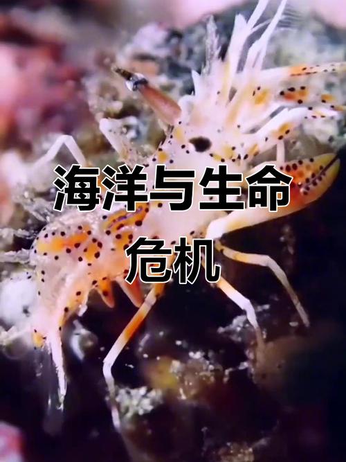 哪些生物可以调节气候，能调节气候？-第1张图片-屿企百科网