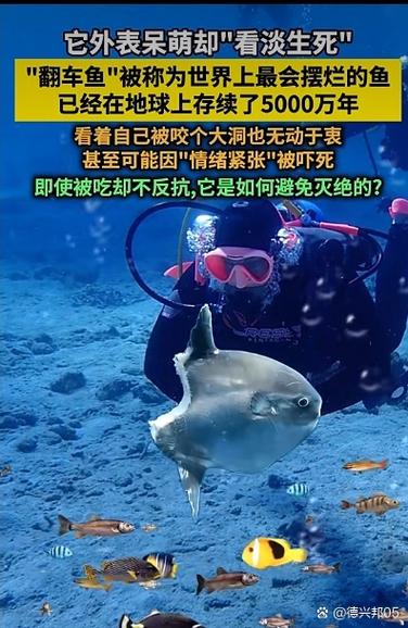 哪些生物可以调节气候，能调节气候？-第2张图片-屿企百科网