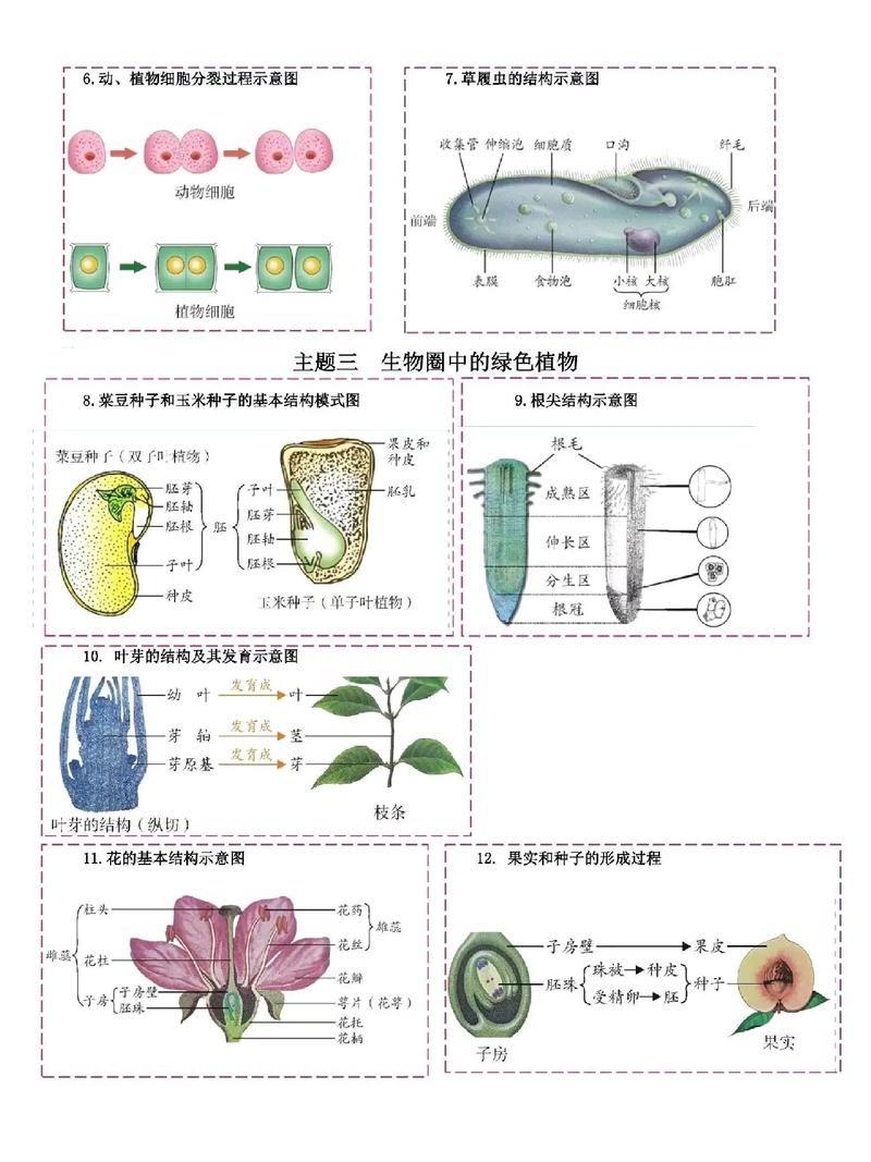 哪些生物可以调节气候，能调节气候？-第5张图片-屿企百科网