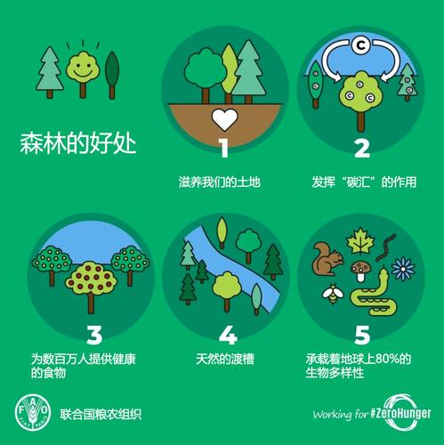 哪些生物可以调节气候，能调节气候？-第8张图片-屿企百科网