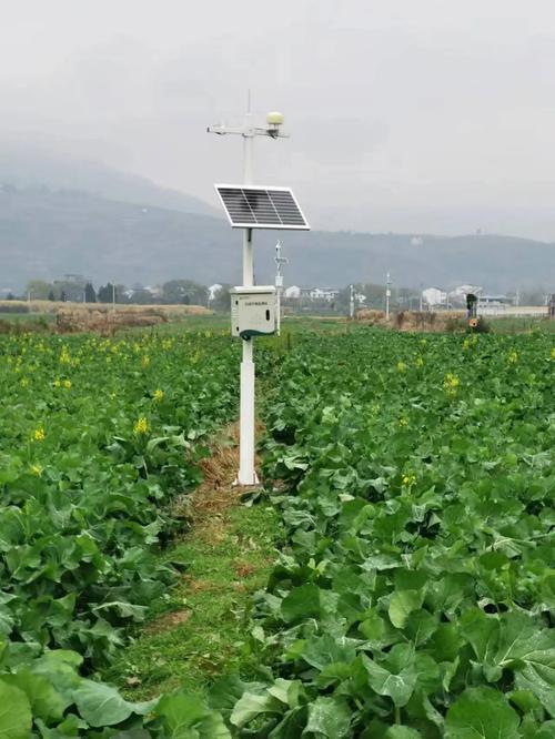 自动气候站功能规，气候智能-第6张图片-屿企百科网