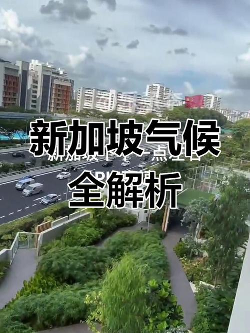 新加坡现在多少度气温，新加坡现时气温？-第6张图片-屿企百科网