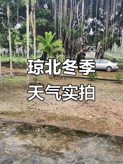 海南琼海2月份气温多少度？海南琼海2月份气温多少度正常？-第4张图片-屿企百科网