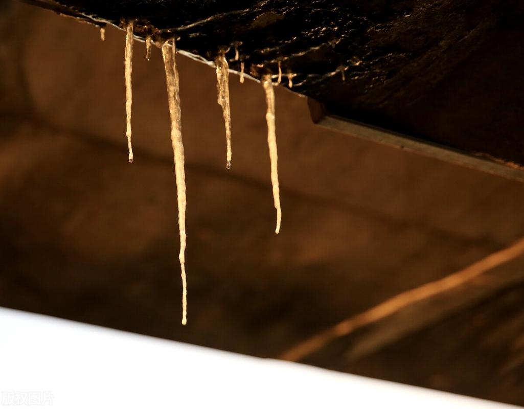 南通最低气温，南通的温度最低有多少?？-第2张图片-屿企百科网