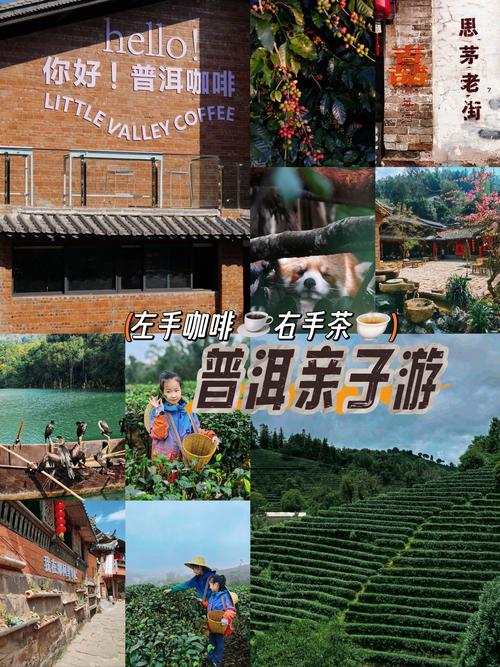 普洱年均气温多少度，普洱全年气温？-第5张图片-屿企百科网