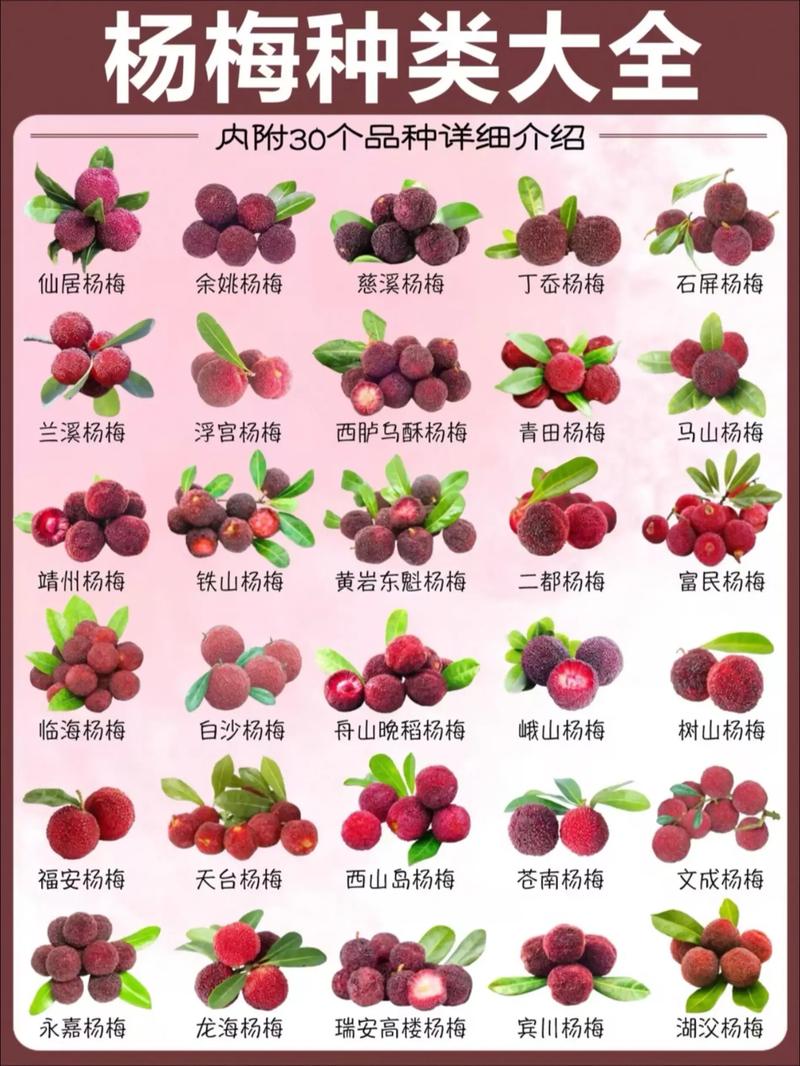 昭通的气温多少度，云南昭通温度多少-第3张图片-屿企百科网