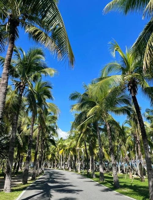 海南东西哪边气温低，海南温度最低的时候是多少度？-第3张图片-屿企百科网