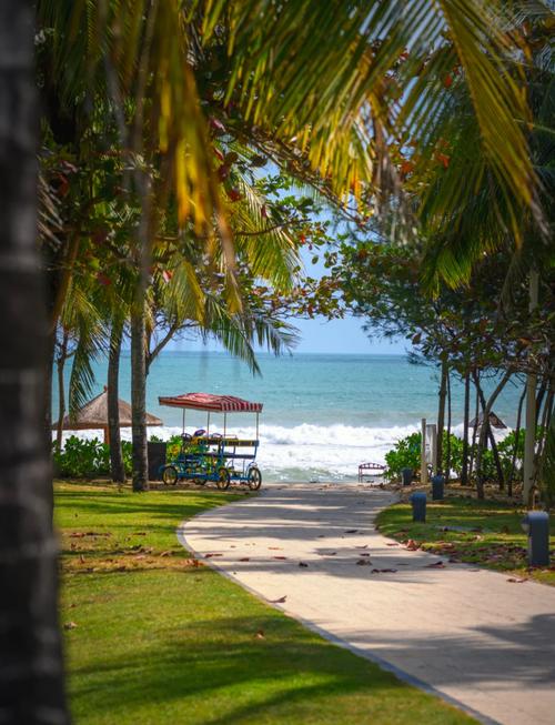 海南东西哪边气温低，海南温度最低的时候是多少度？-第4张图片-屿企百科网