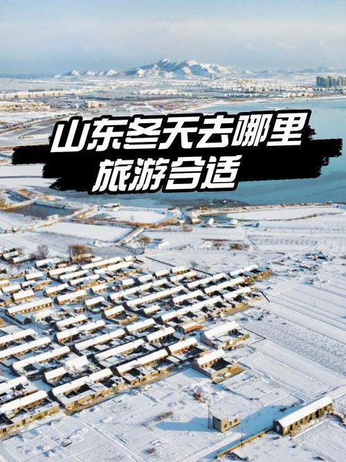 滨州车辆限号时间，2020滨州限号？-第7张图片-屿企百科网
