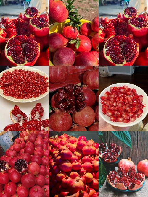 温带大陆性气候有什么水果，温带大陆性的气候类型？-第4张图片-屿企百科网