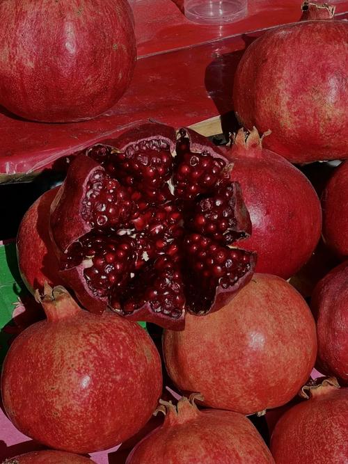 温带大陆性气候有什么水果，温带大陆性的气候类型？-第6张图片-屿企百科网