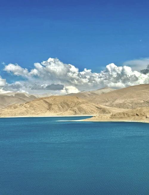 西藏的年平均气温是多少度，西藏各月平均气温-第7张图片-屿企百科网