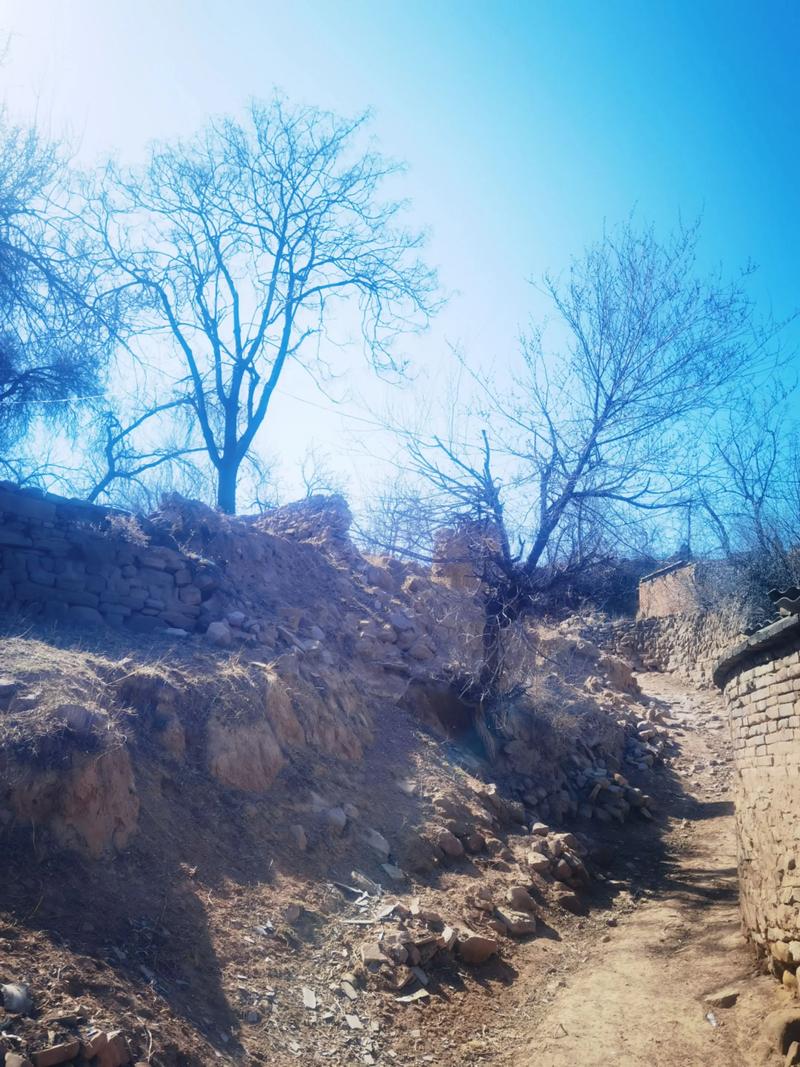 山西太谷冬季最低气温？太谷夏天最热是多少度？-第3张图片-屿企百科网