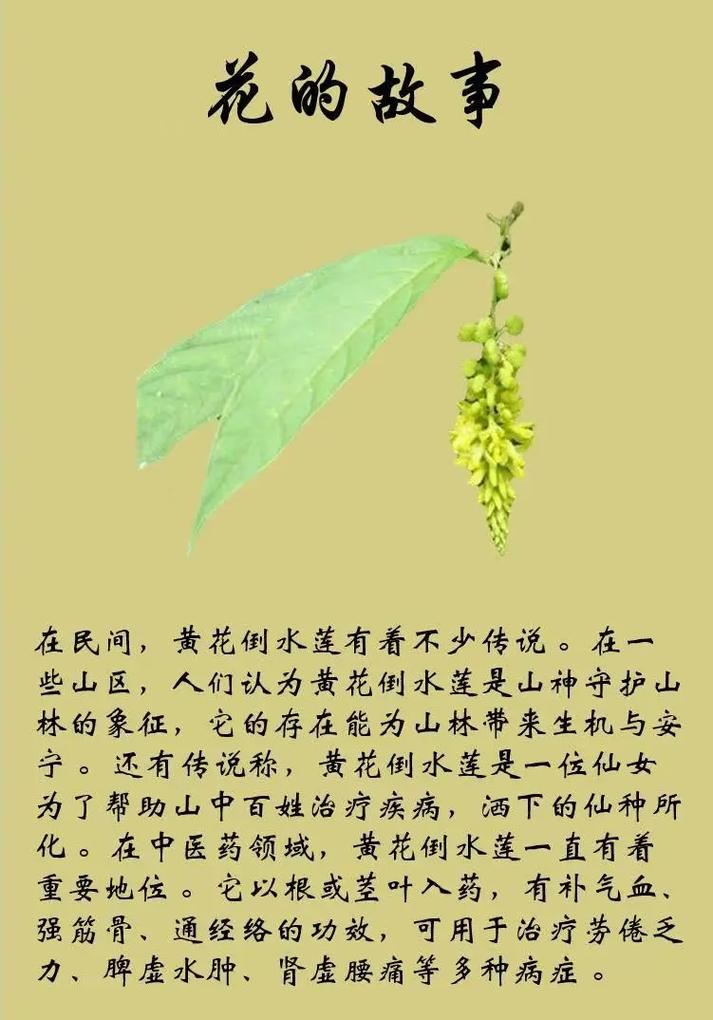 江苏宿迁气温是多少，江苏宿迁温度-第7张图片-屿企百科网