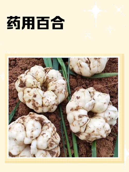 阿拉善左旗夏季比较高气温,阿拉善左旗夏季比较高气温多少度-第6张图片-屿企百科网 阿拉善左旗夏季比较高气温,阿拉善左旗夏季比较高气温多少度-第6张图片-屿企百科网