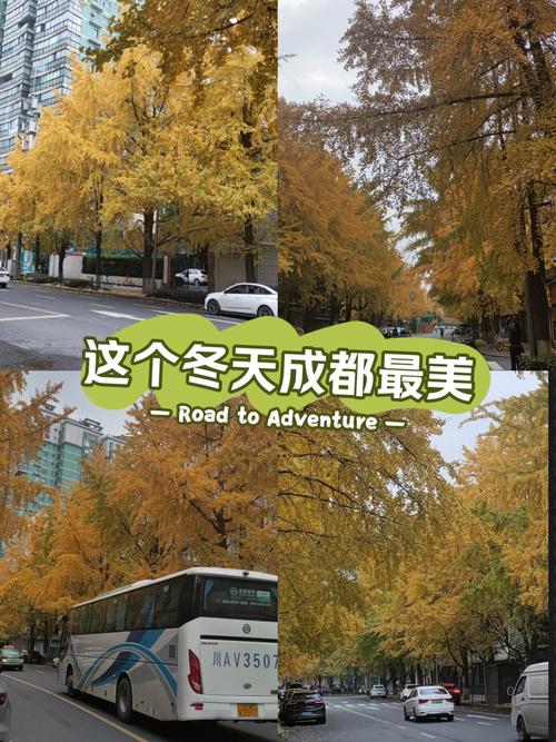 成都12月份气温是多少，成都12月份气温是多少度-第2张图片-屿企百科网