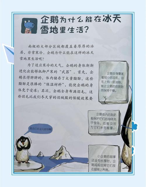 北极没有企鹅的原因是气候，北极没有企鹅是因为气候变迁吗？-第4张图片-屿企百科网