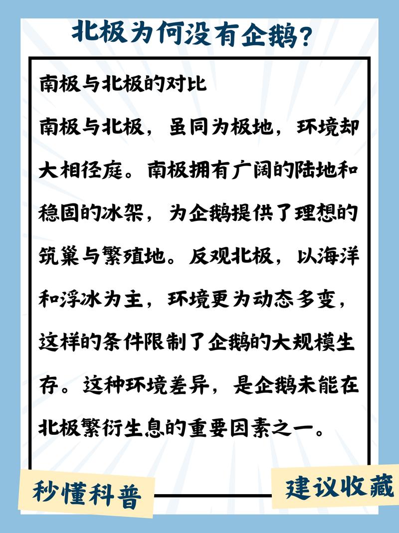 北极没有企鹅的原因是气候，北极没有企鹅是因为气候变迁吗？-第6张图片-屿企百科网