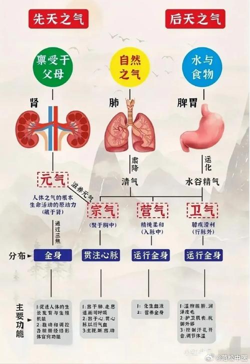 这地方成了气候是什么意思，就气候而言,这个城市是生活的理想之地-第6张图片-屿企百科网