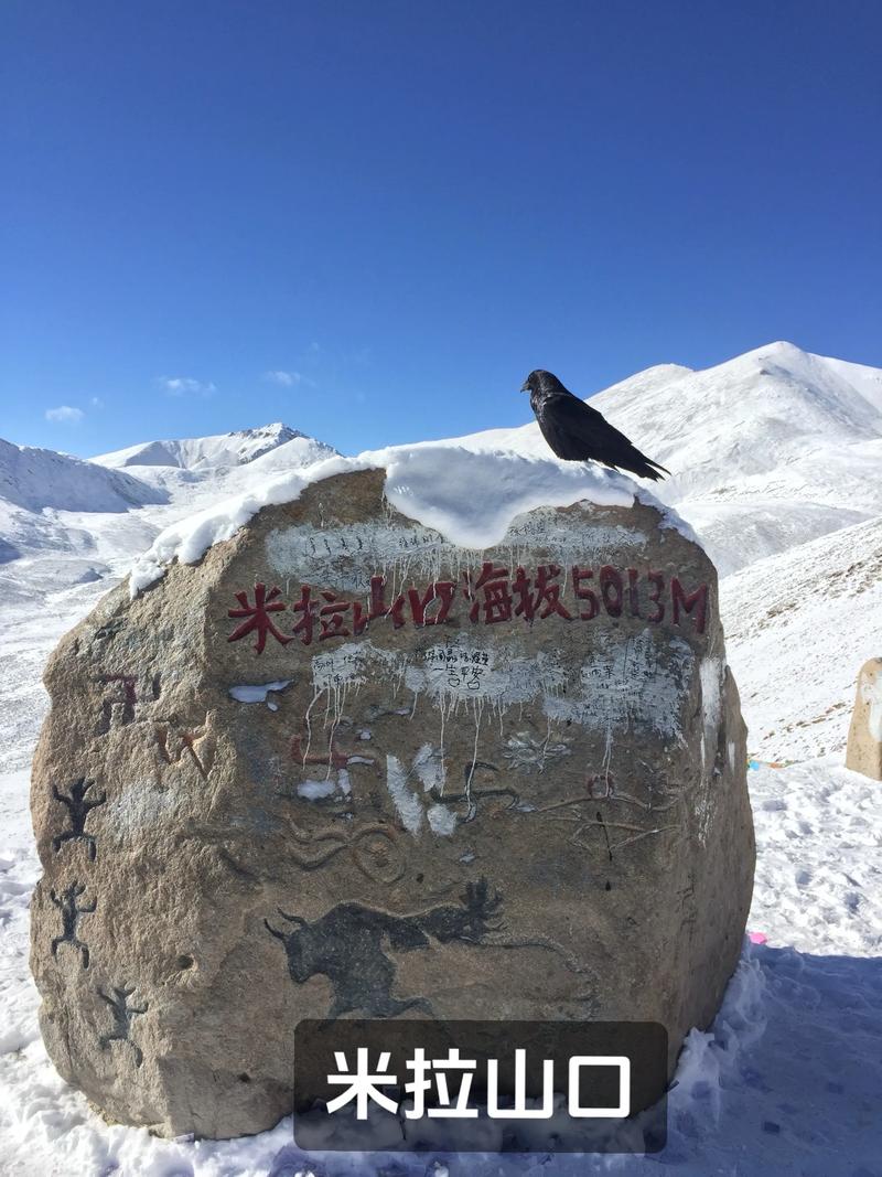 米拉山口比较高气温，米拉山口好玩吗