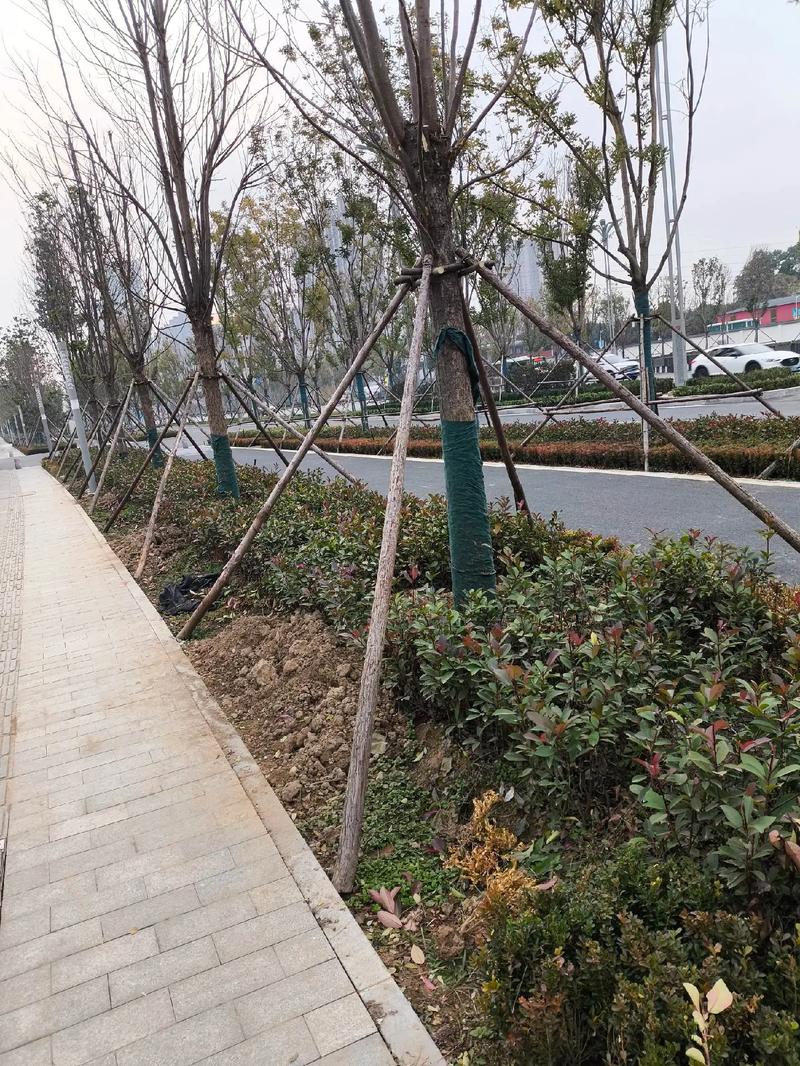 兴平限号多少公里？兴平限号时间？-第5张图片-屿企百科网