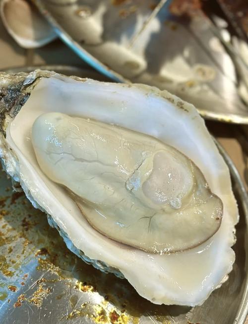 宁德4月份气温多少，宁德1月平均气温