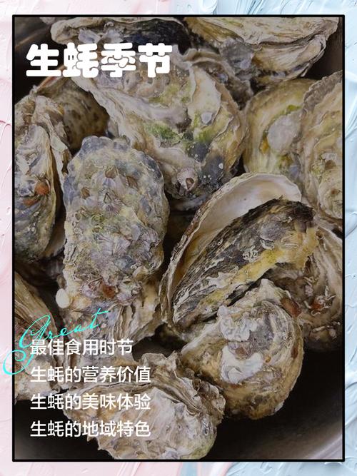 宁德4月份气温多少，宁德1月平均气温-第4张图片-屿企百科网