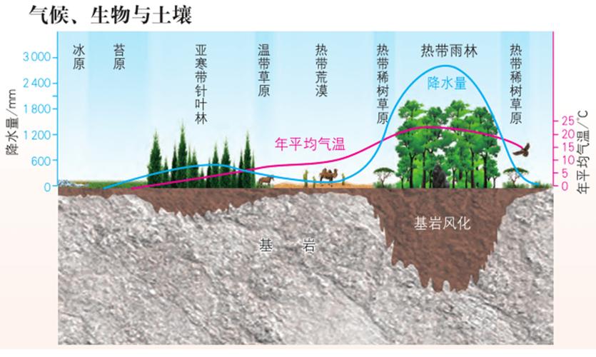 土壤对气候的相互影响，土壤对气候的相互影响有哪些？-第4张图片-屿企百科网